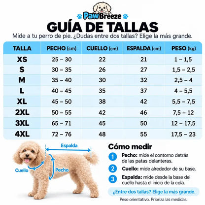 Impermeable 4 Patas: Tu Perro Seco y Visible