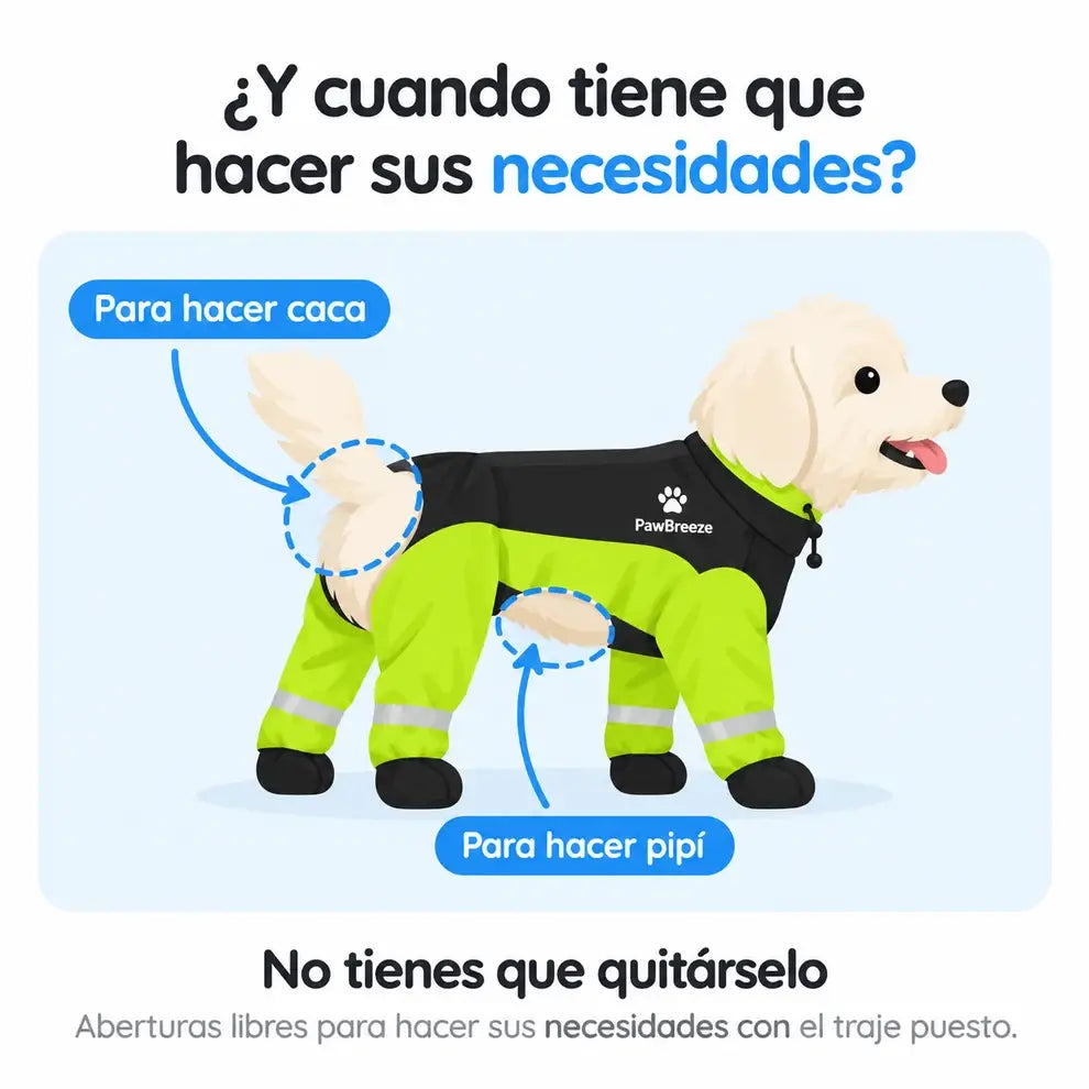 Impermeable 4 Patas: Tu Perro Seco y Visible