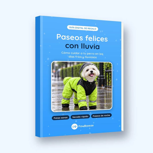 E-book Paseos felices con lluvia